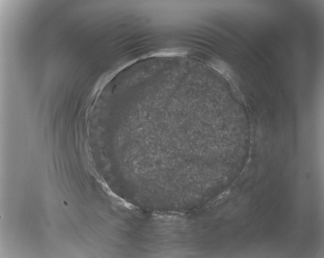 X0000078860337200612041938