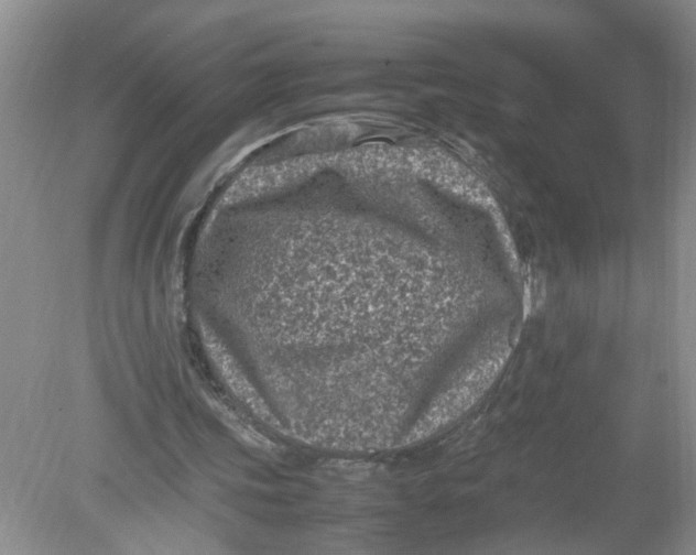 X0000078860339200612041938