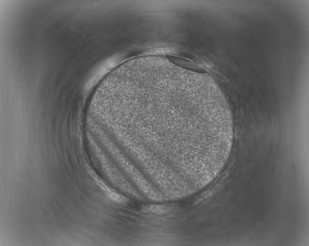 X0000078860341200612041938