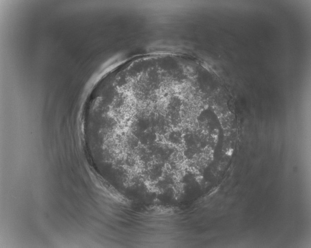 X0000078860343200612041938