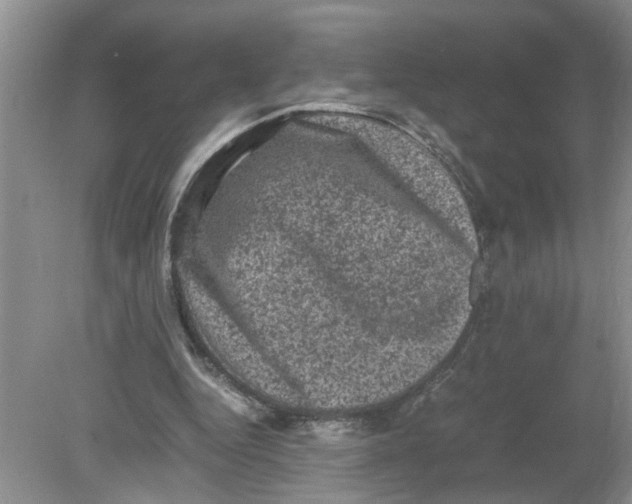 X0000078860344200612041938