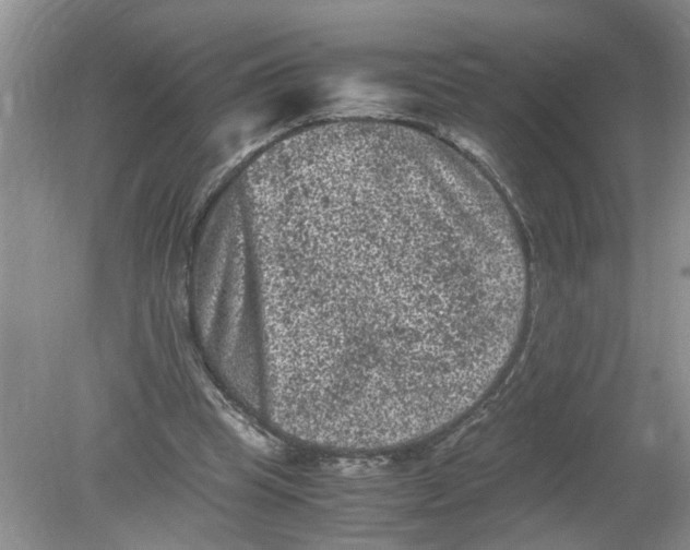 X0000078860345200612041938