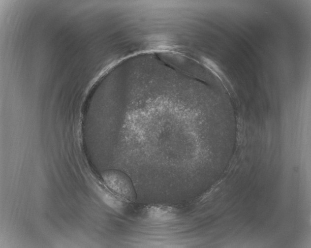 X0000078860346200612041938