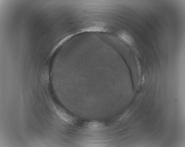 X0000078860348200612041938