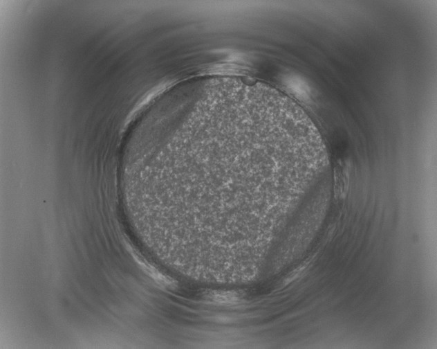 X0000078860349200612041938