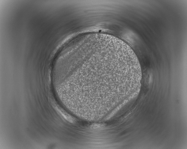 X0000078860350200612041938