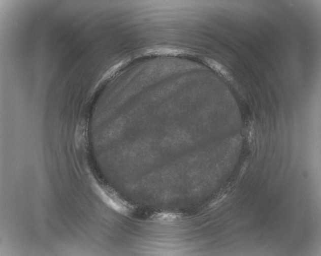 X0000078860352200612041938