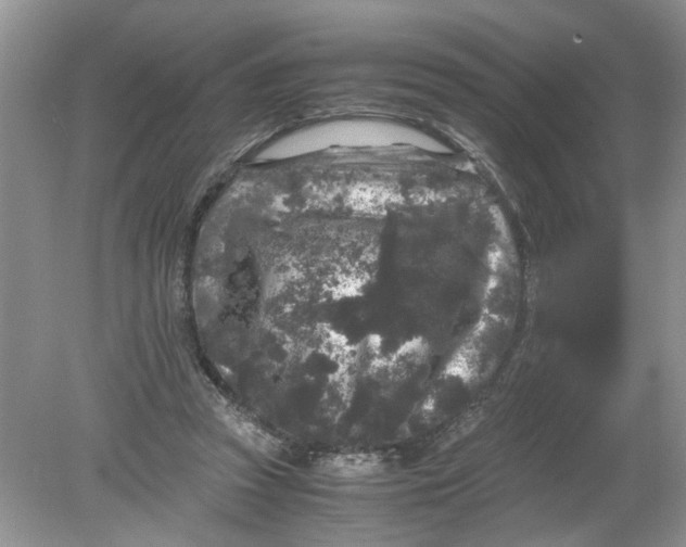 X0000078860353200612041938