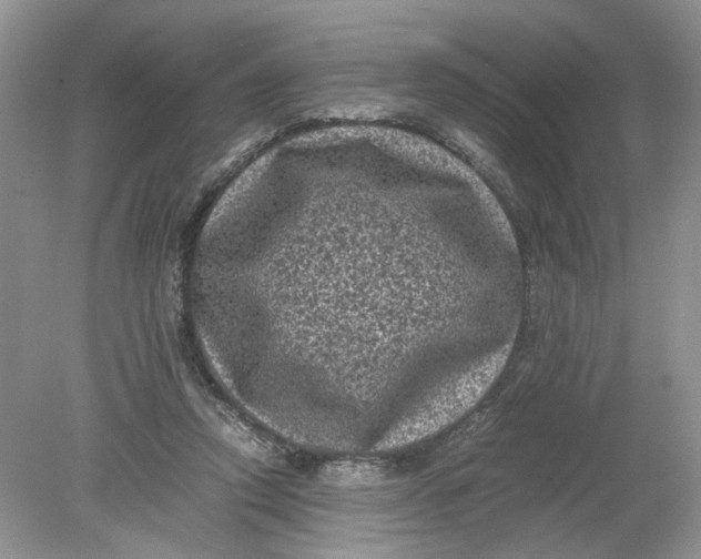 X0000078860354200612041938