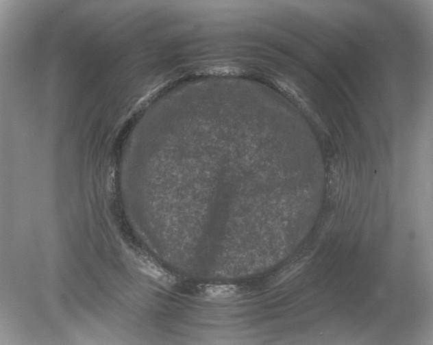 X0000078860355200612041938