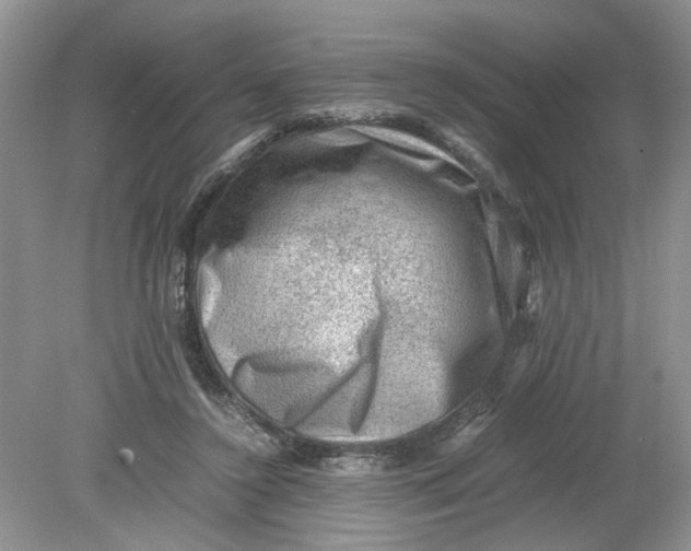 X0000078860356200612041938