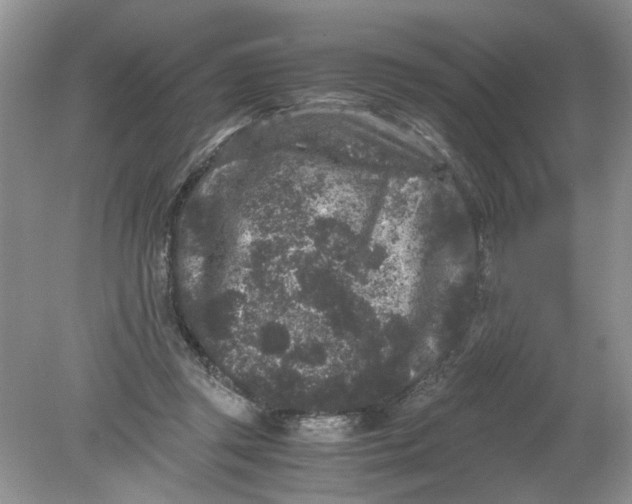 X0000078860357200612041938