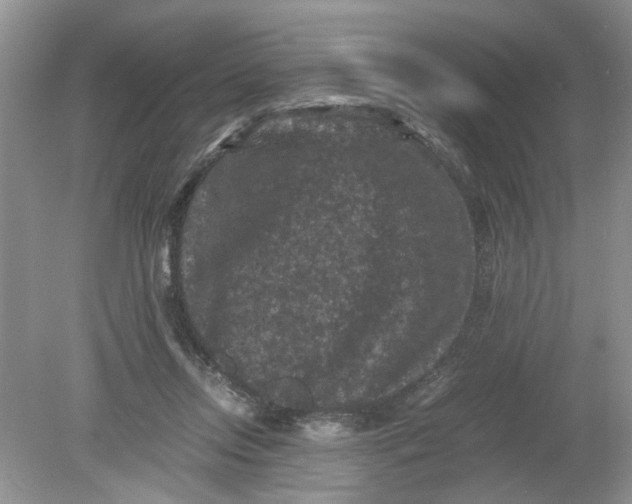 X0000078860358200612041938