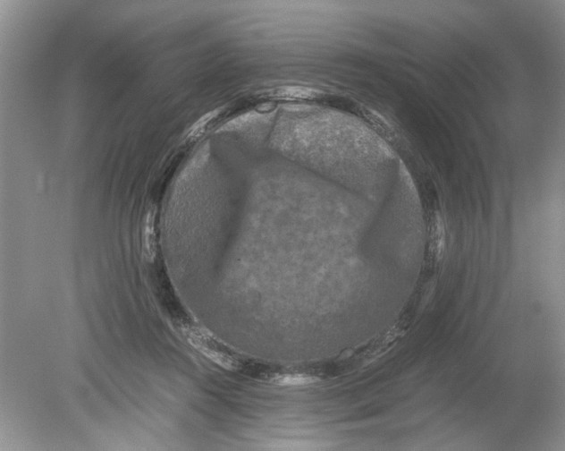 X0000078860360200612041938