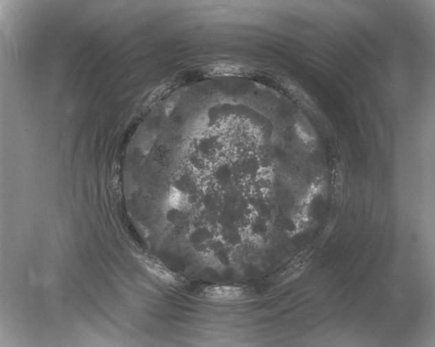 X0000078860361200612041938