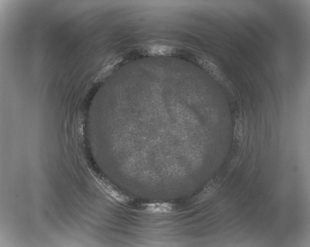 X0000078860363200612041938