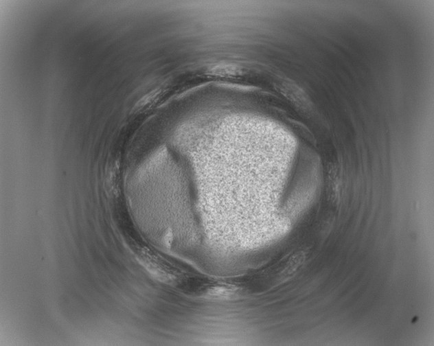 X0000078860364200612041938