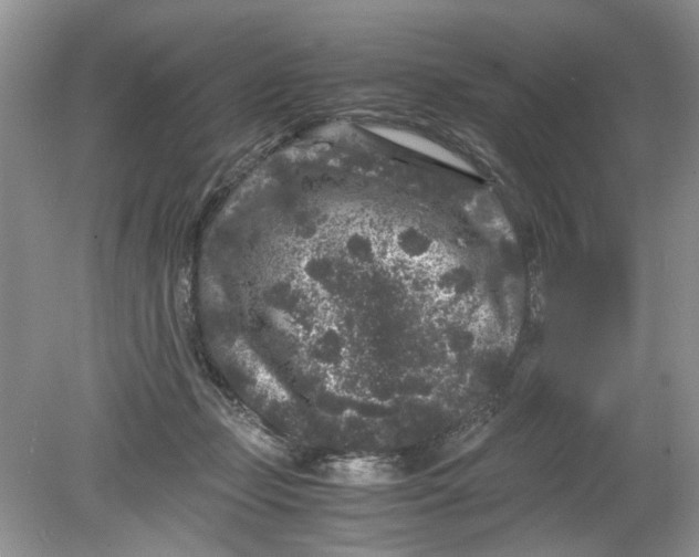 X0000078860365200612041938