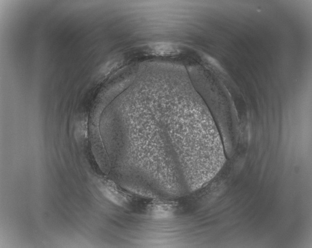 X0000078860368200612041938