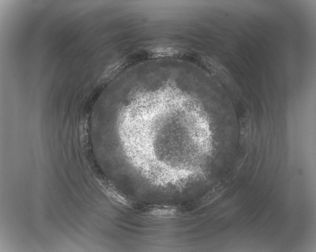 X0000078860369200612041938