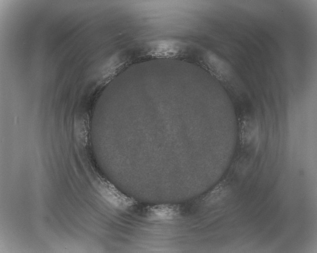 X0000078860370200612041938