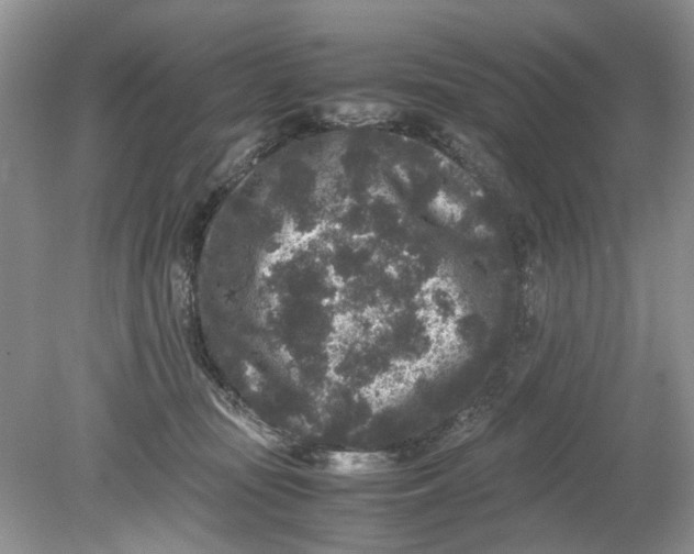 X0000078860371200612041938