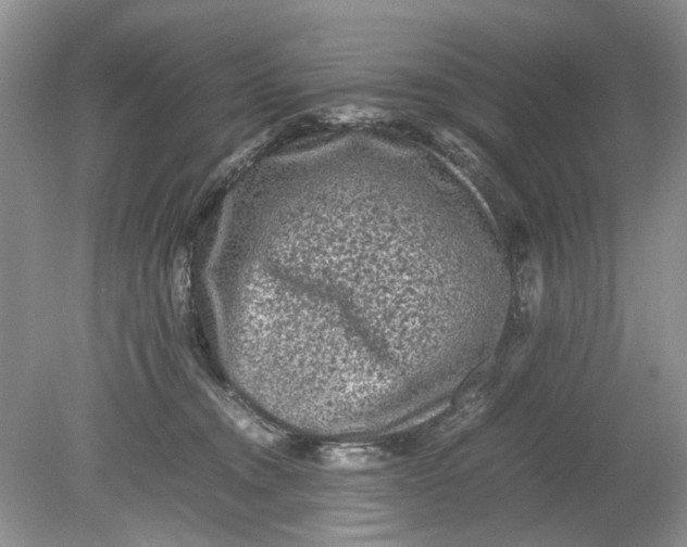 X0000078860372200612041938