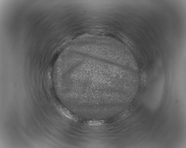 X0000078860373200612041938