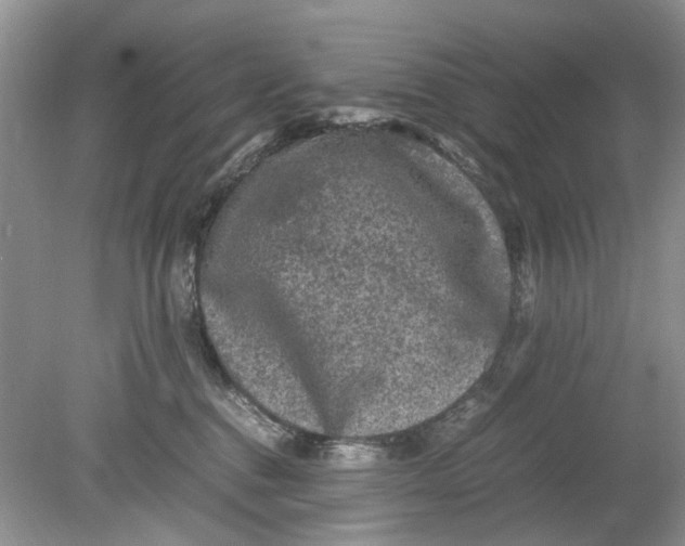 X0000078860376200612041938