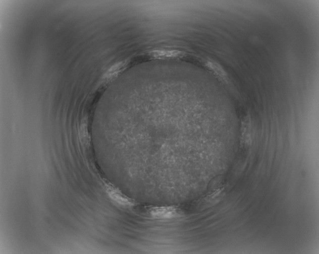 X0000078860377200612041938