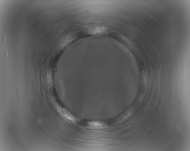 X0000078860380200612041938