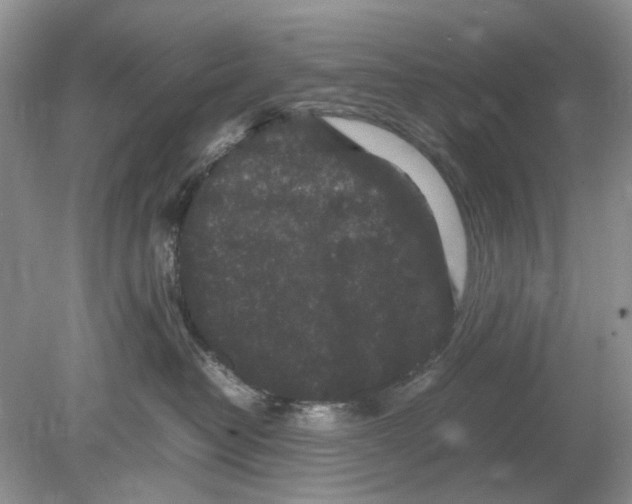 X0000078860382200612041938