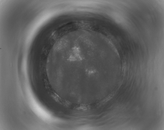 X0000078860383200612041938