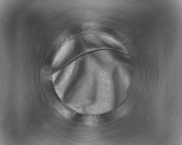 X0000078860384200612041938