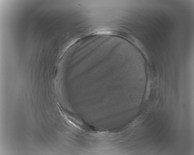 X0000078860385200612041938