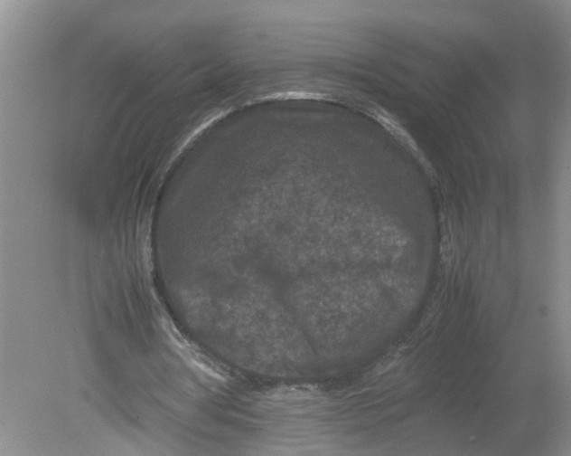 X0000078860386200612041938