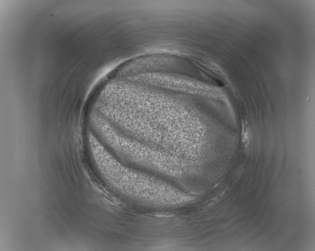 X0000078860388200612041938