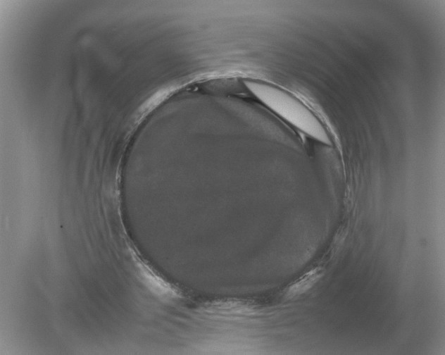 X0000078860389200612041938