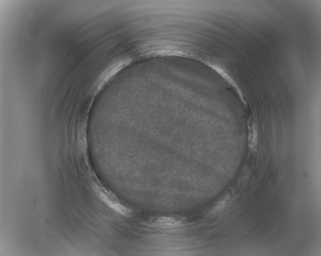 X0000078860390200612041938