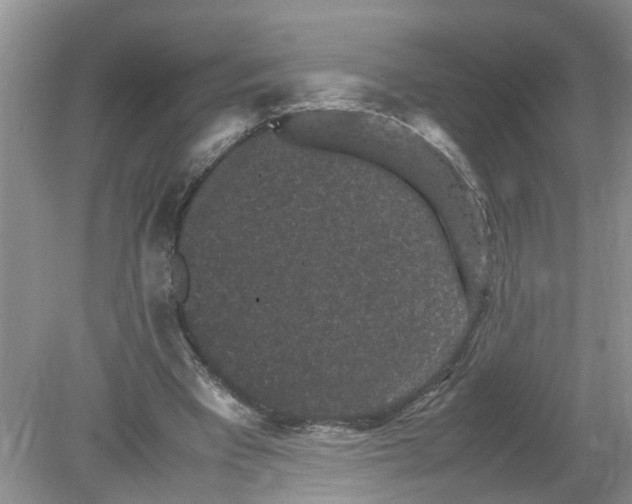 X0000078860393200612041938