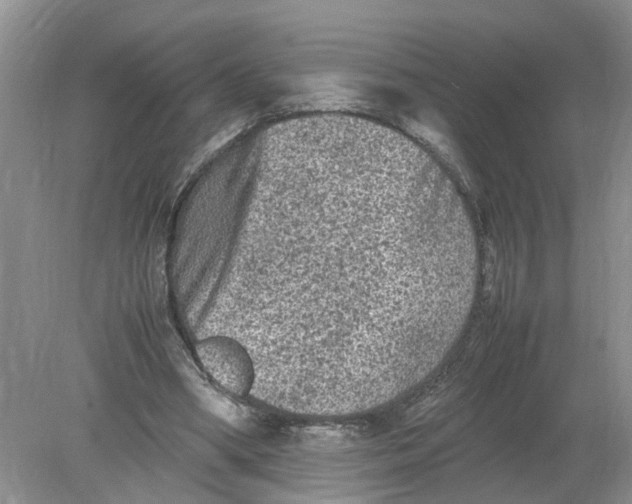 X0000078860394200612041937