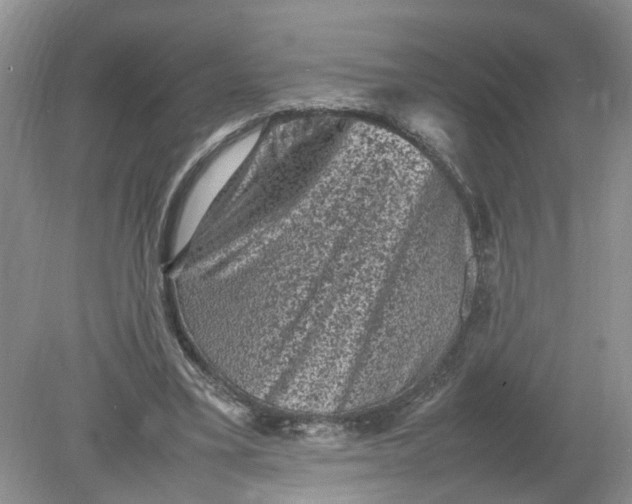 X0000078860395200612041937