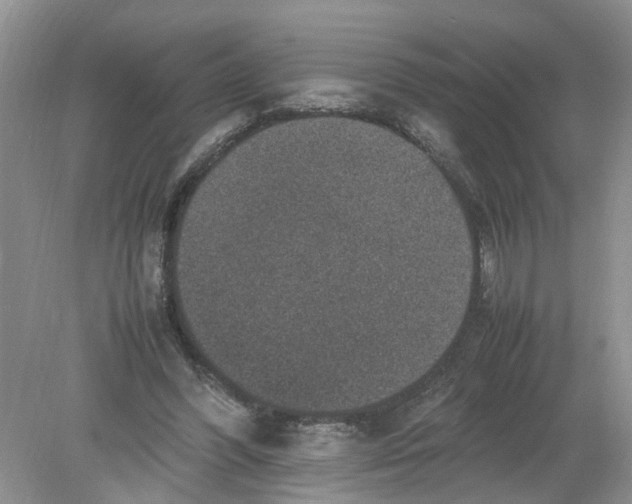 X0000078860396200612041937