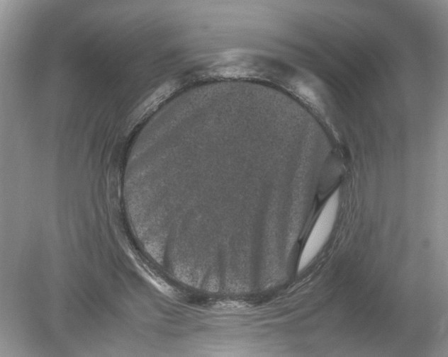 X0000078860397200612041937