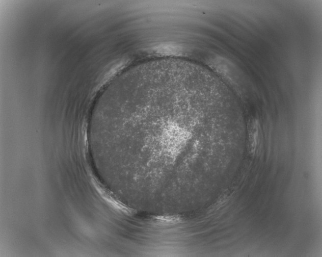 X0000078860398200612041937