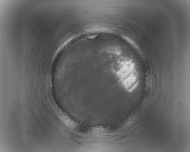 X0000078860399200612041937