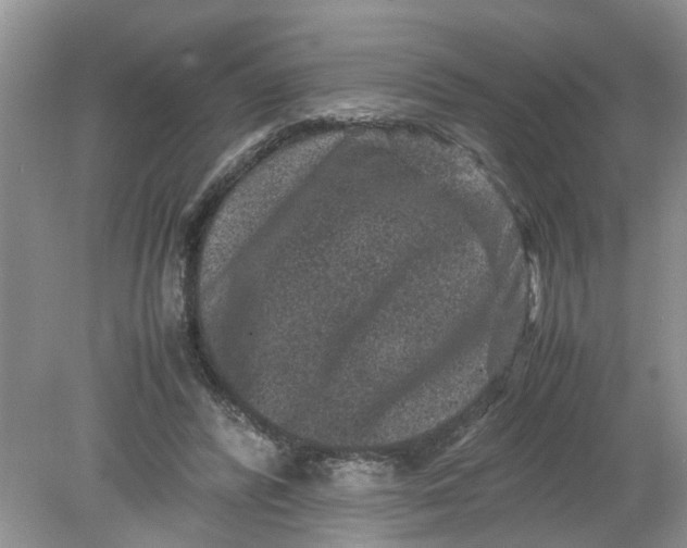 X0000078860400200612041937