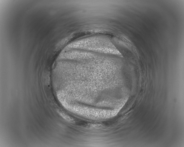 X0000078860401200612041937