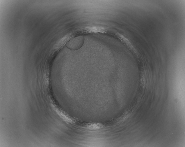 X0000078860402200612041937