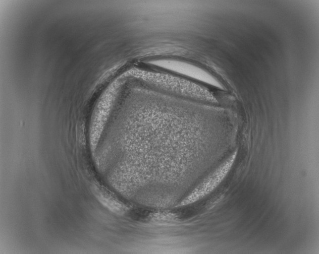 X0000078860403200612041937